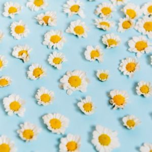 Meet your Posher, Chloe